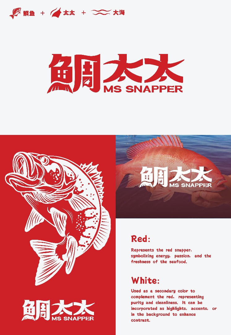 MS Snapper brand guideline